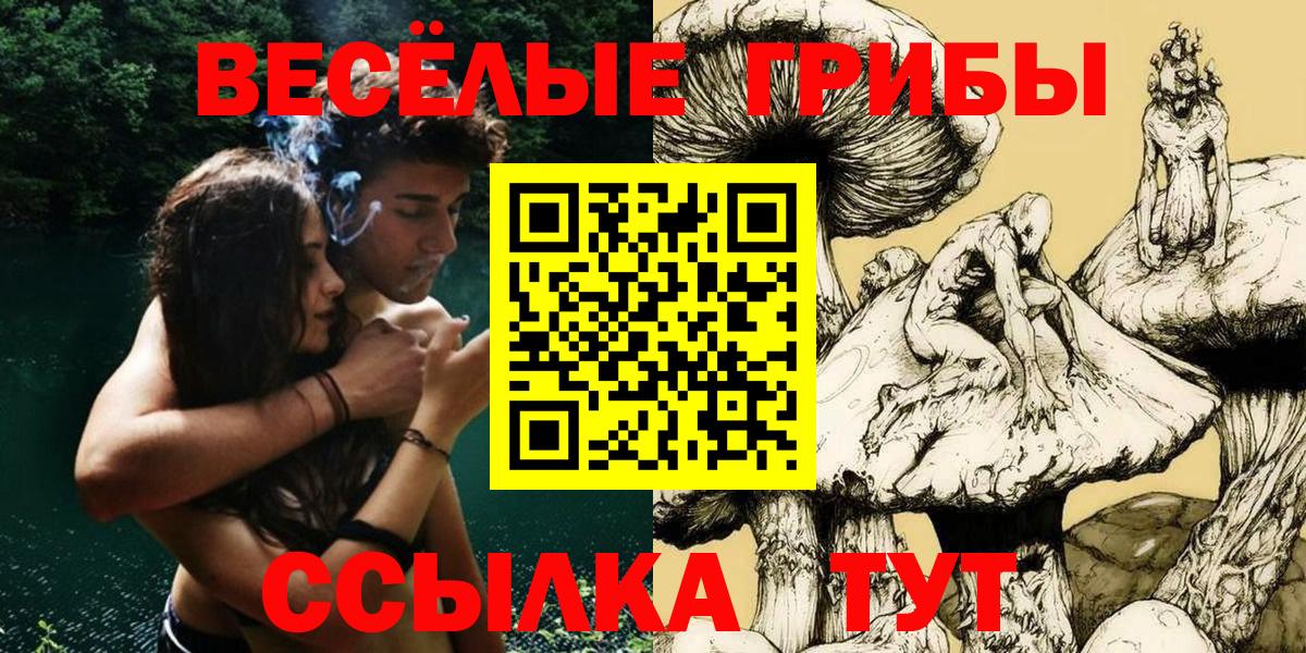 Галлюциногенные грибы GOLDEN TEACHER  Вход с VPN  Азов 